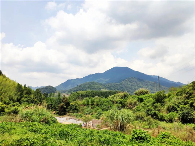 呼吸鮮氧,踐行公益——廣東博皓公益活動:星溪線公益環保活動 -6