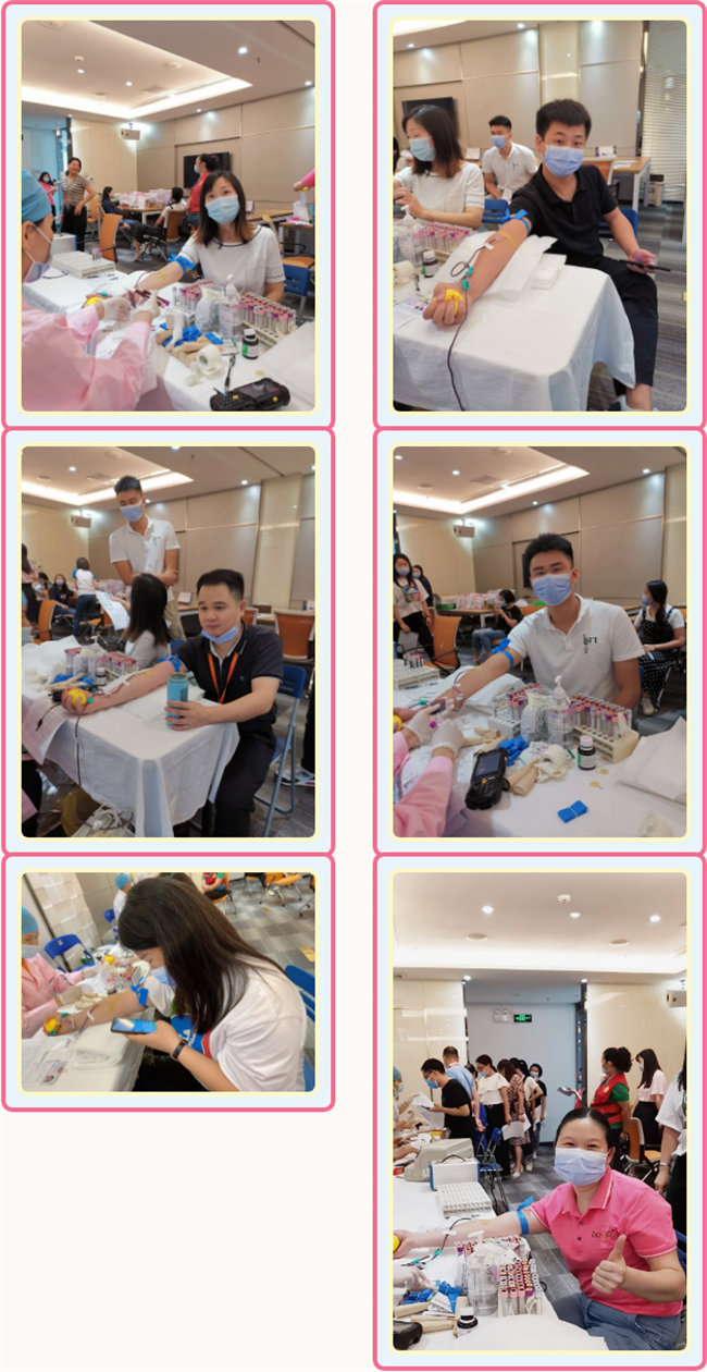 捐獻青春熱血,彩繪人生畫卷——廣東博皓總班委組織了一次“捐我熱血,呵護生命”的無償獻血公益活動 -3