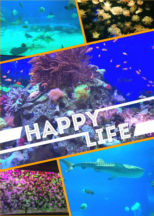廣東博皓親子游:珠海長(zhǎng)隆海洋王國(guó),探索海洋生物的奧秘,奇妙的動(dòng)物世界