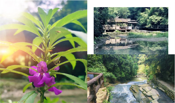 “湘”約鳳凰，相守未來(lái)——2022博皓快樂(lè)湖南行    -34