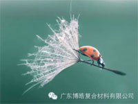 【博皓感悟】成功，要“借力”，不要“盡力”